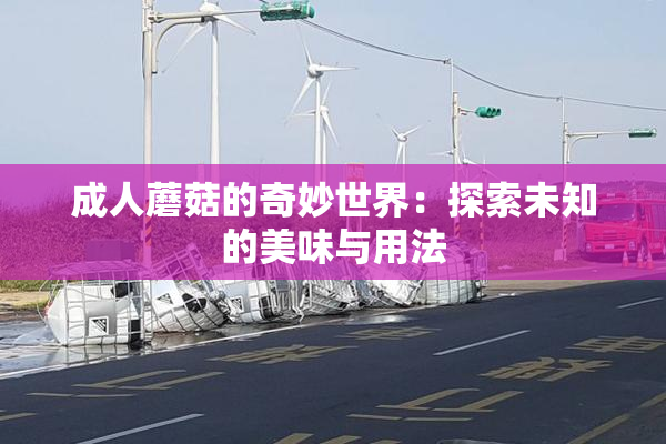 成人蘑菇的奇妙世界：探索未知的美味与用法
