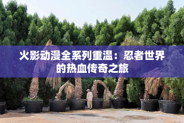火影动漫全系列重温：忍者世界的热血传奇之旅