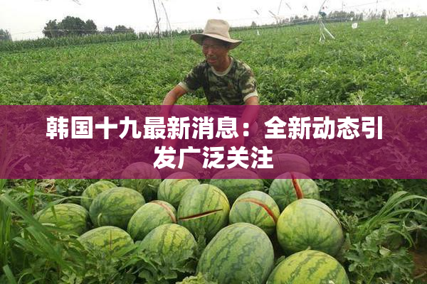 韩国十九最新消息：全新动态引发广泛关注
