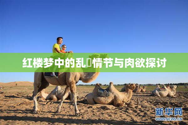 红楼梦中的乱婬情节与肉欲探讨