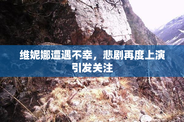 维妮娜遭遇不幸，悲剧再度上演引发关注
