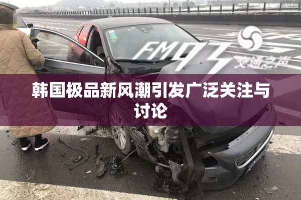 韩国极品新风潮引发广泛关注与讨论