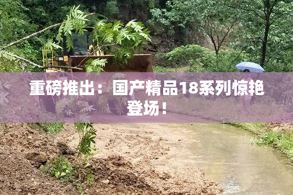 重磅推出：国产精品18系列惊艳登场！