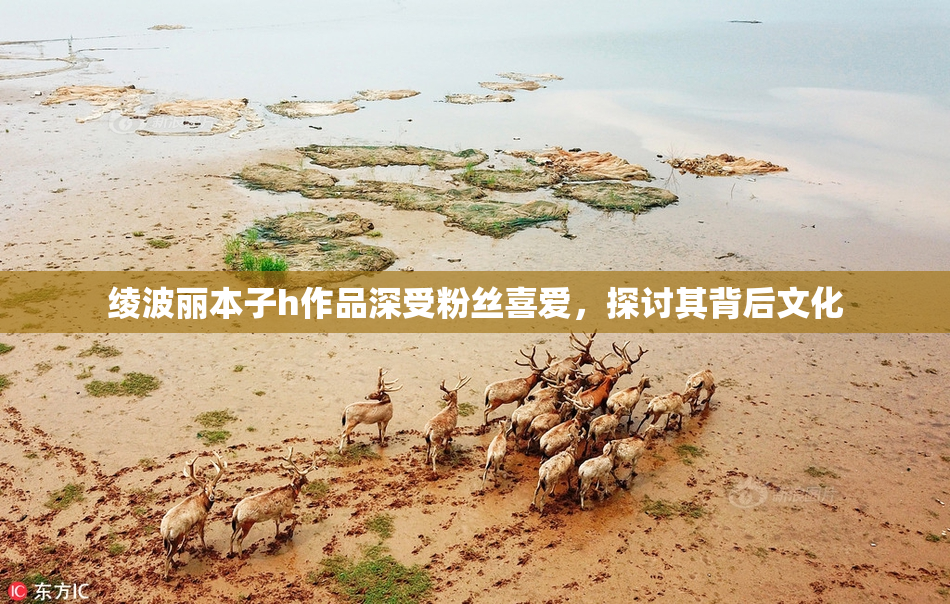 绫波丽本子h作品深受粉丝喜爱，探讨其背后文化