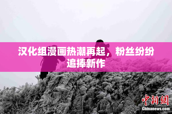 汉化组漫画热潮再起，粉丝纷纷追捧新作