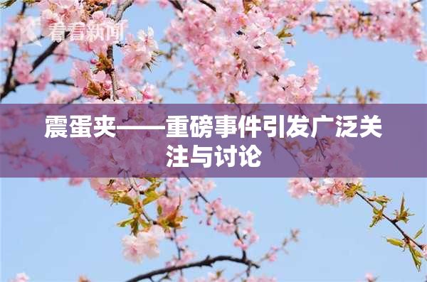 震蛋夹――重磅事件引发广泛关注与讨论