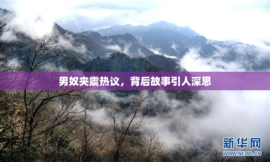 男奴夹震热议，背后故事引人深思