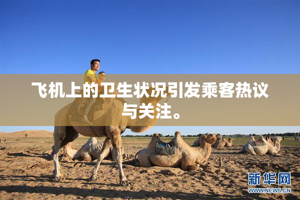 飞机上的卫生状况引发乘客热议与关注。