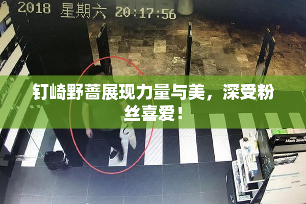 钉崎野蔷展现力量与美，深受粉丝喜爱！