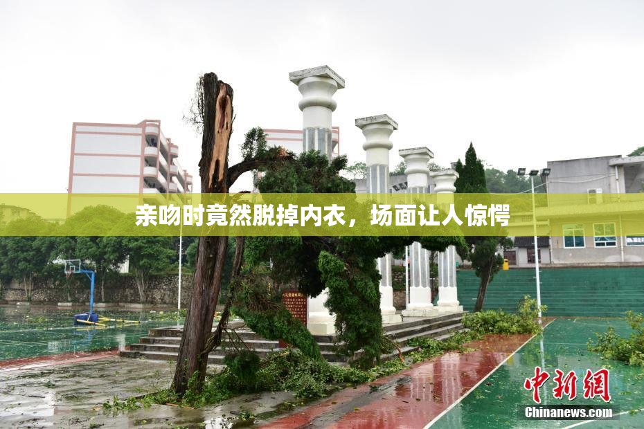 亲吻时竟然脱掉内衣，场面让人惊愕