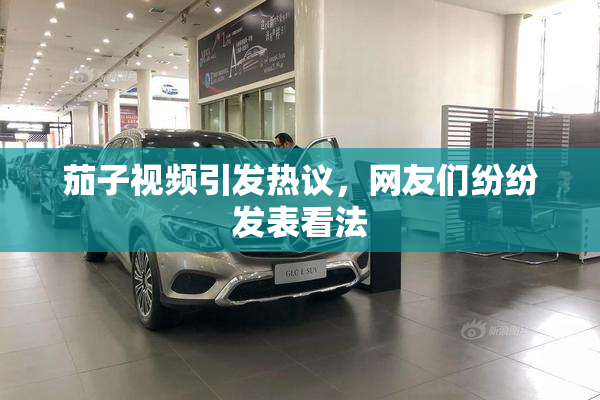 茄子视频引发热议，网友们纷纷发表看法