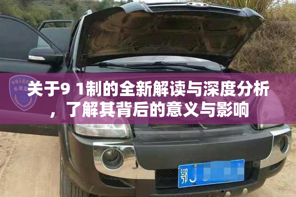 关于9 1制的全新解读与深度分析，了解其背后的意义与影响