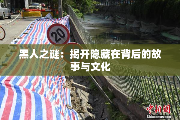黑人之谜：揭开隐藏在背后的故事与文化