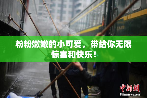 粉粉嫩嫩的小可爱，带给你无限惊喜和快乐！