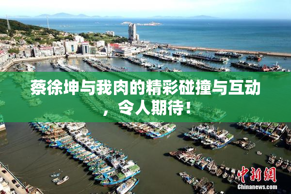 蔡徐坤与我肉的精彩碰撞与互动，令人期待！