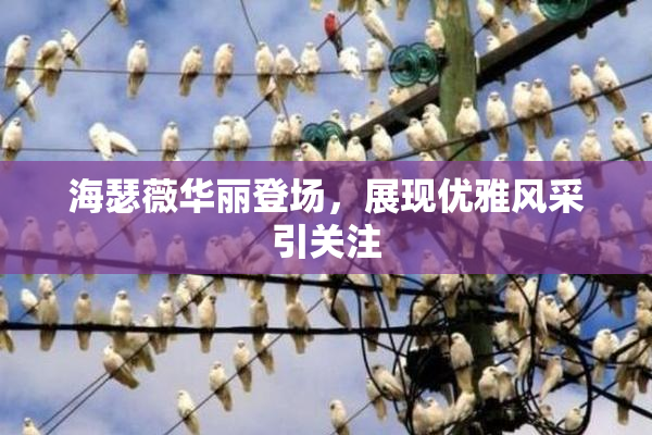 海瑟薇华丽登场，展现优雅风采引关注