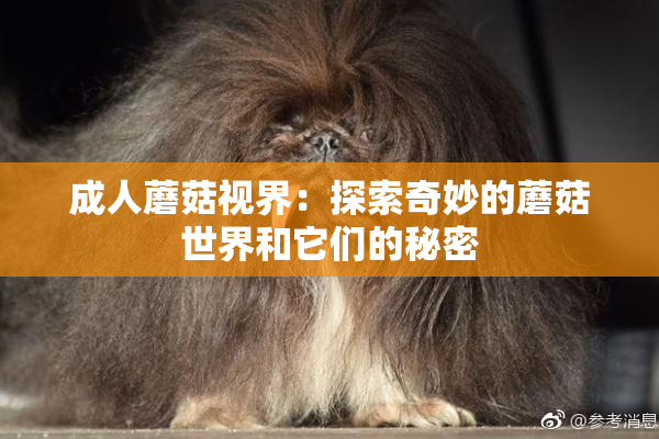 成人蘑菇视界：探索奇妙的蘑菇世界和它们的秘密