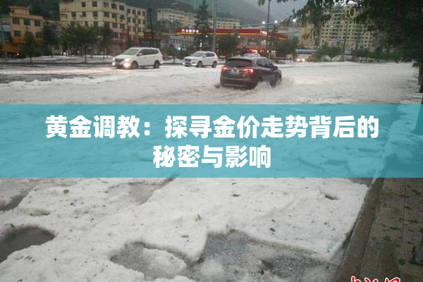 黄金调教：探寻金价走势背后的秘密与影响
