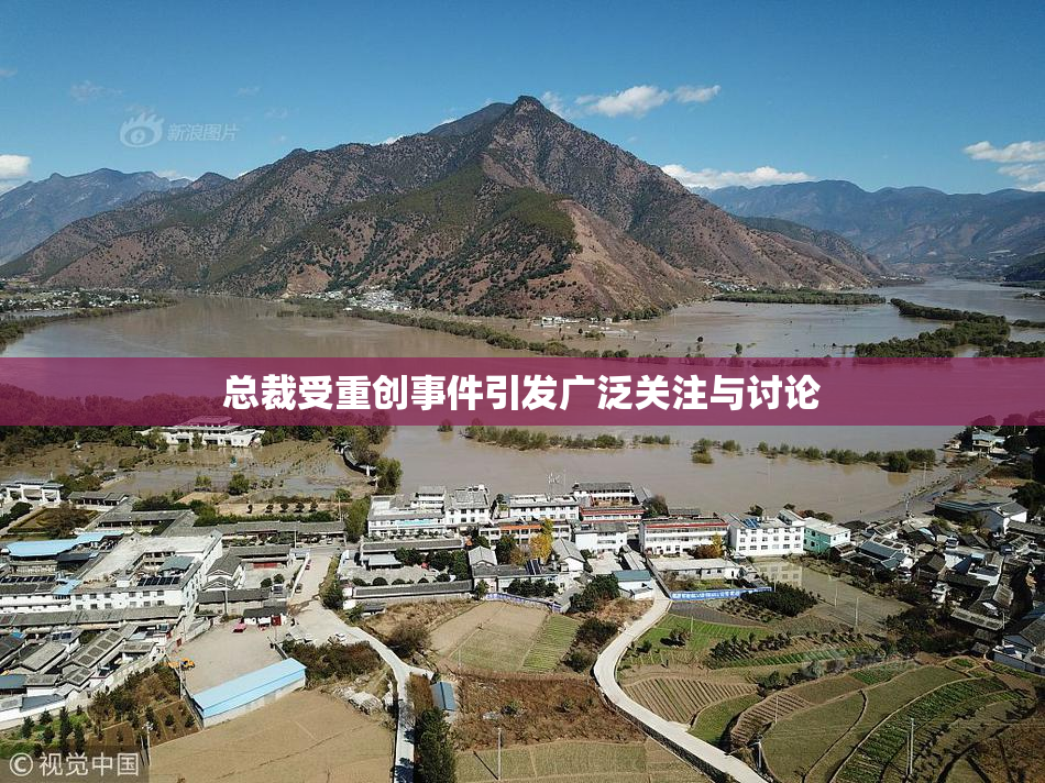 总裁受重创事件引发广泛关注与讨论