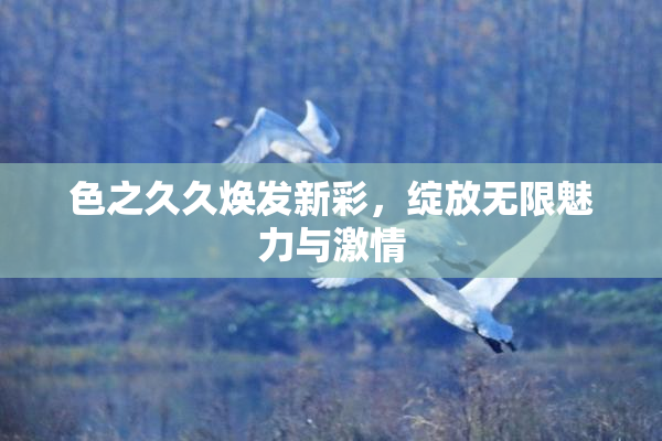 色之久久焕发新彩，绽放无限魅力与激情
