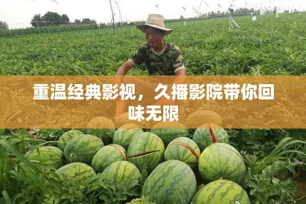 重温经典影视，久播影院带你回味无限
