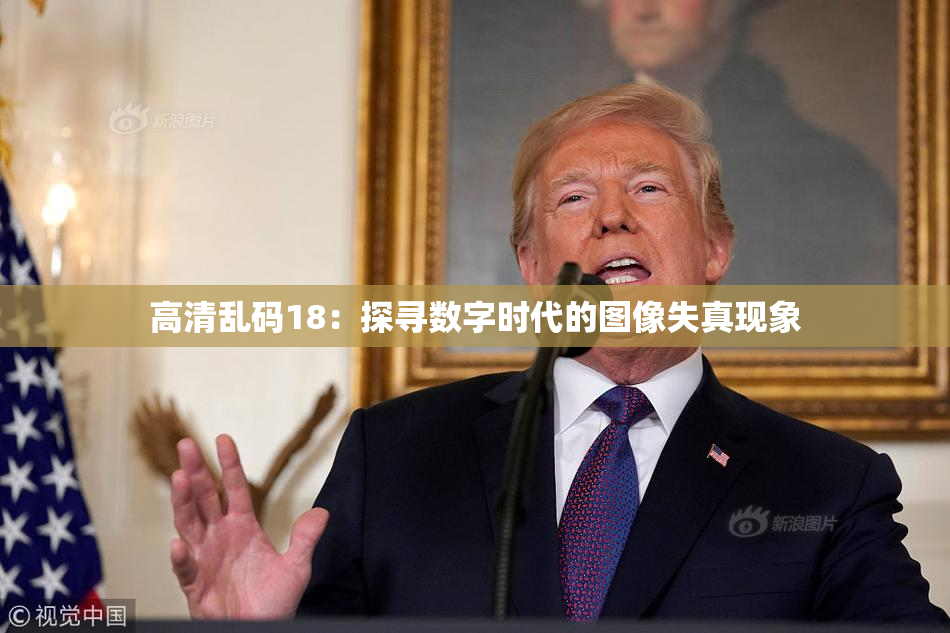 高清乱码18：探寻数字时代的图像失真现象