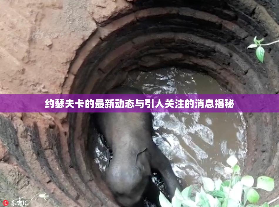 约瑟夫卡的最新动态与引人关注的消息揭秘