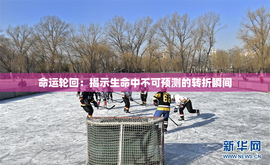 命运轮回：揭示生命中不可预测的转折瞬间