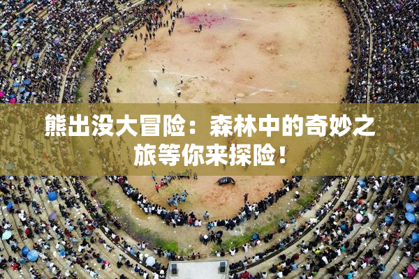 熊出没大冒险：森林中的奇妙之旅等你来探险！
