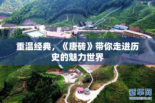 重温经典，《唐砖》带你走进历史的魅力世界