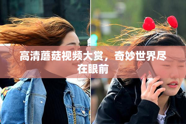 高清蘑菇视频大赏，奇妙世界尽在眼前