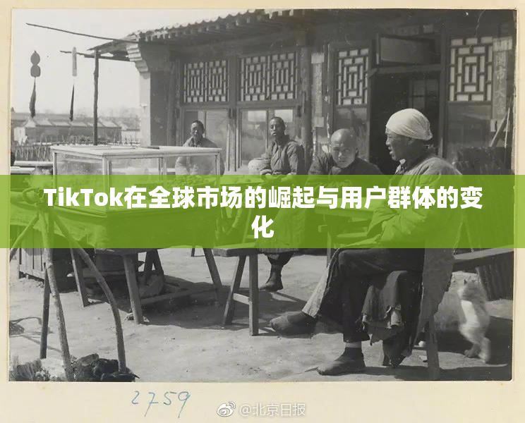 TikTok在全球市场的崛起与用户群体的变化