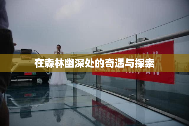 在森林幽深处的奇遇与探索