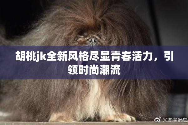 胡桃jk全新风格尽显青春活力，引领时尚潮流