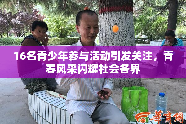 16名青少年参与活动引发关注，青春风采闪耀社会各界
