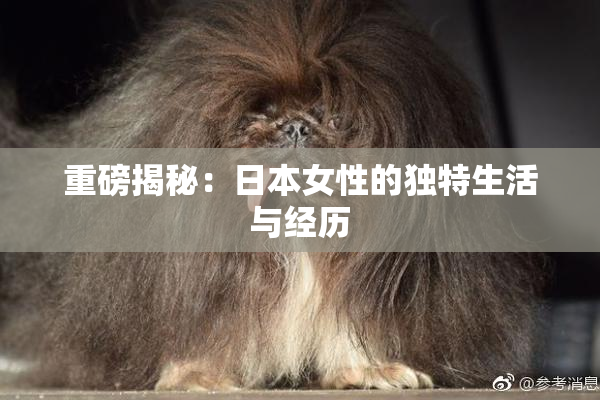 重磅揭秘：日本女性的独特生活与经历
