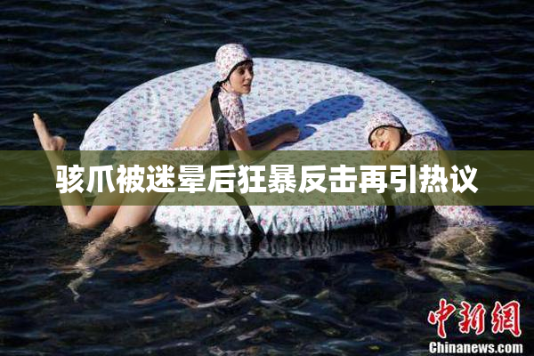 骇爪被迷晕后狂暴反击再引热议