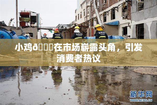 小鸡🐔在市场崭露头角，引发消费者热议