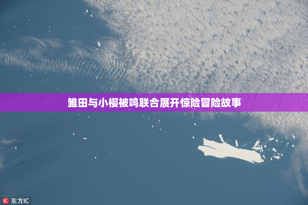 雏田与小樱被鸣联合展开惊险冒险故事