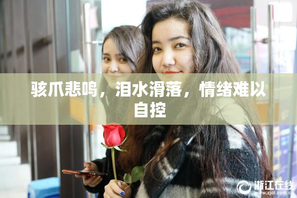 骇爪悲鸣，泪水滑落，情绪难以自控