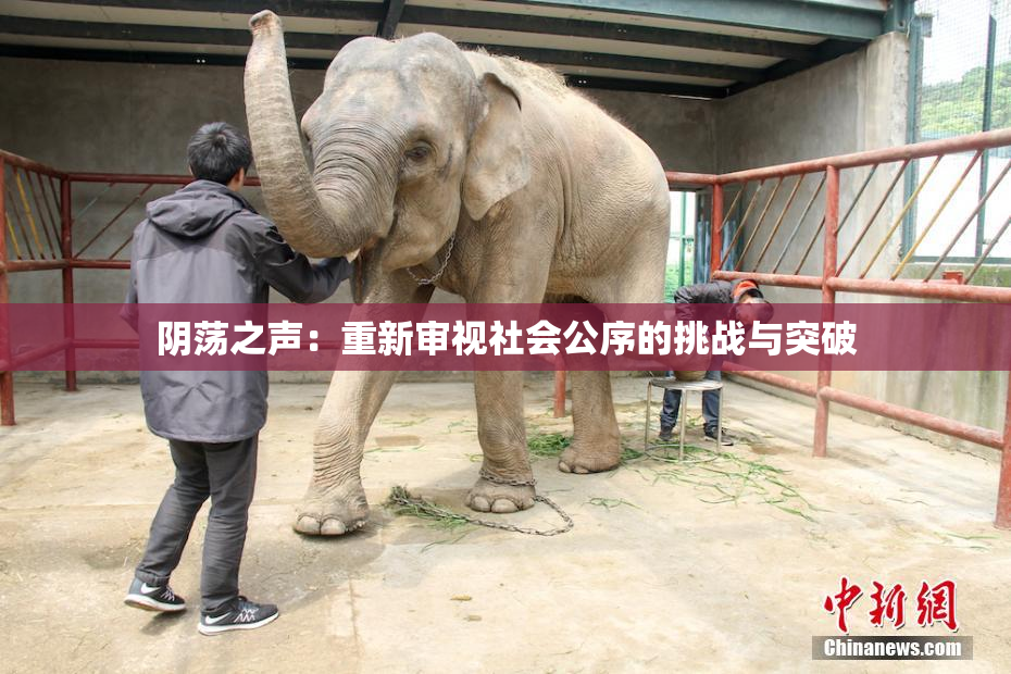 阴荡之声：重新审视社会公序的挑战与突破