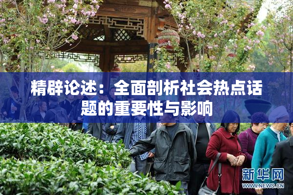 精辟论述：全面剖析社会热点话题的重要性与影响