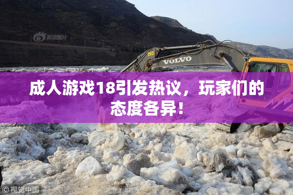 成人游戏18引发热议，玩家们的态度各异！