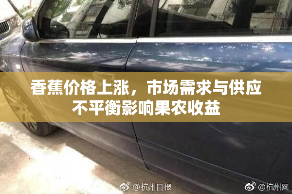 香蕉价格上涨，市场需求与供应不平衡影响果农收益
