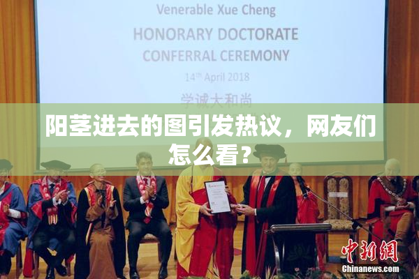 阳茎进去的图引发热议，网友们怎么看？