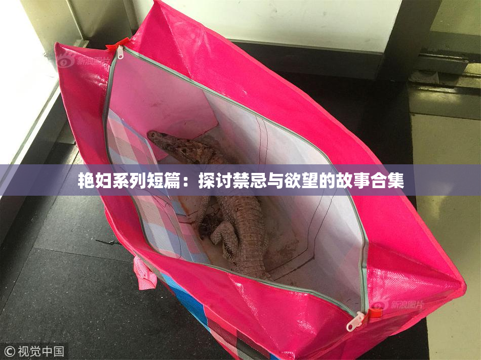 艳妇系列短篇：探讨禁忌与欲望的故事合集