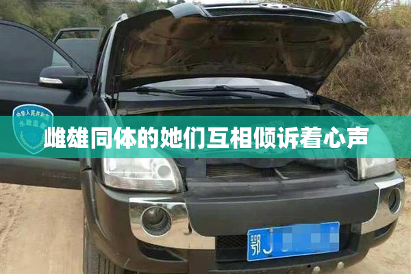 雌雄同体的她们互相倾诉着心声