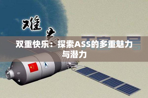 双重快乐：探索ASS的多重魅力与潜力