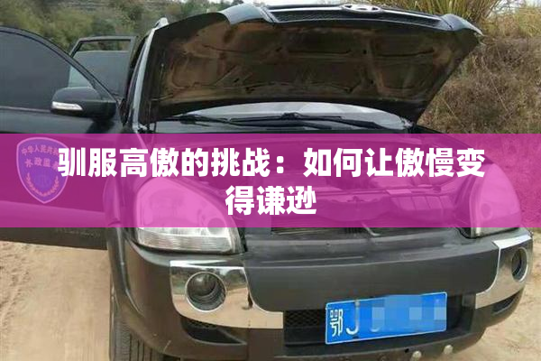驯服高傲的挑战：如何让傲慢变得谦逊