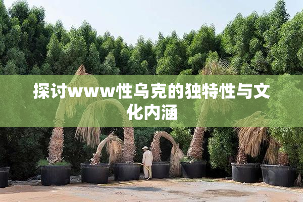 探讨www性乌克的独特性与文化内涵